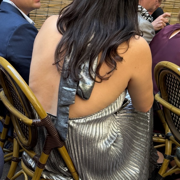 Lidee Opera Gown - Gunmetal - Picture 5 of 5
